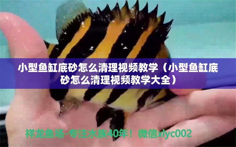 小型魚缸底砂怎么清理視頻教學(xué)（小型魚缸底砂怎么清理視頻教學(xué)大全） 三色錦鯉魚