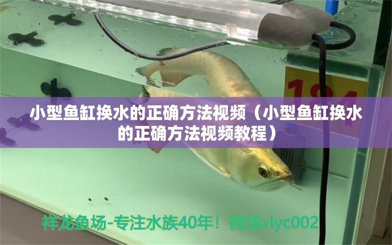 小型魚缸換水的正確方法視頻（小型魚缸換水的正確方法視頻教程） 祥龍魚場(chǎng)