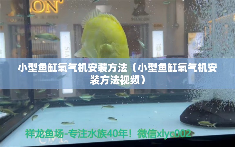 小型魚(yú)缸氧氣機(jī)安裝方法（小型魚(yú)缸氧氣機(jī)安裝方法視頻）