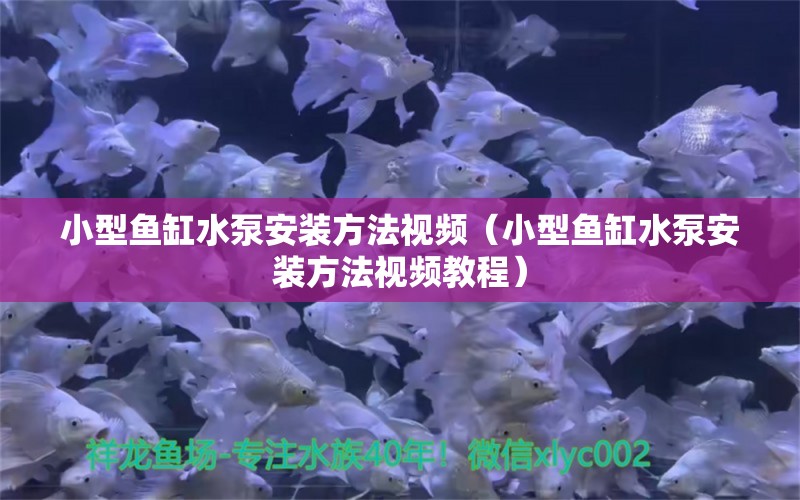 小型魚(yú)缸水泵安裝方法視頻（小型魚(yú)缸水泵安裝方法視頻教程）