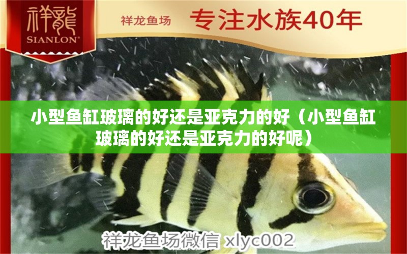 小型魚(yú)缸玻璃的好還是亞克力的好（小型魚(yú)缸玻璃的好還是亞克力的好呢）