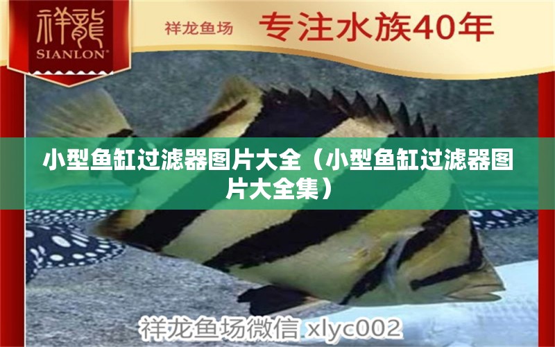 小型魚缸過濾器圖片大全（小型魚缸過濾器圖片大全集） 新加坡三巴旺