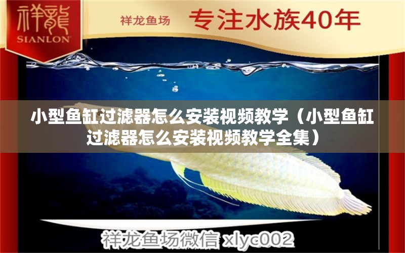 小型魚缸過濾器怎么安裝視頻教學(xué)（小型魚缸過濾器怎么安裝視頻教學(xué)全集） 水溫計(jì)