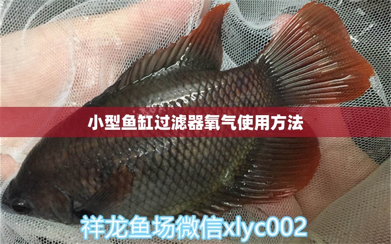 小型魚缸過濾器氧氣使用方法