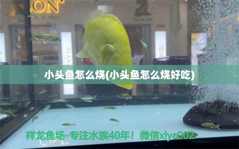 小頭魚怎么燒(小頭魚怎么燒好吃) 黃金鴨嘴魚