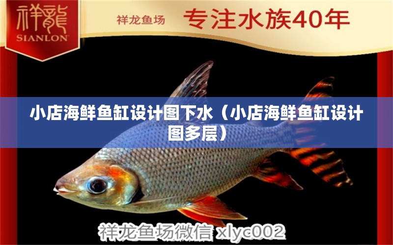 小店海鮮魚缸設計圖下水（小店海鮮魚缸設計圖多層） 帝王迷宮魚