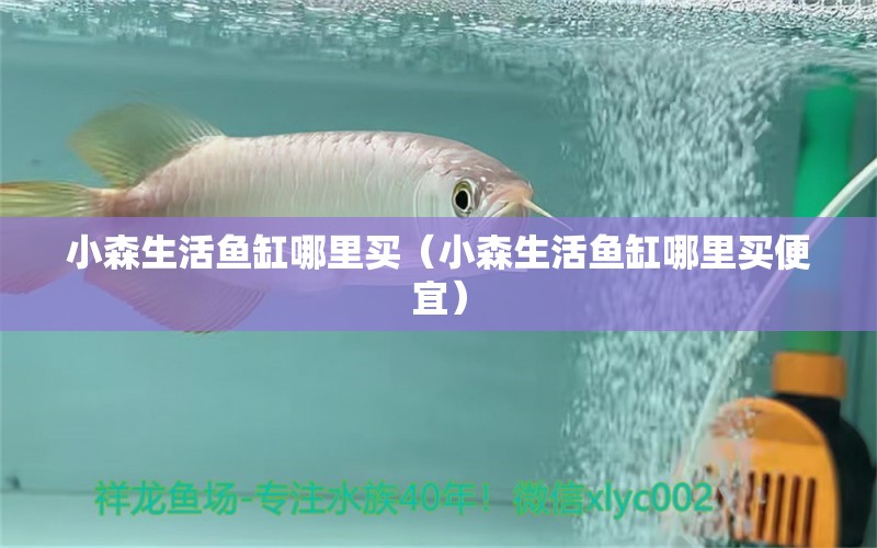 小森生活魚缸哪里買（小森生活魚缸哪里買便宜）