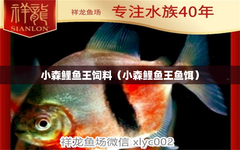 小森鯉魚王飼料（小森鯉魚王魚餌） 森森魚缸