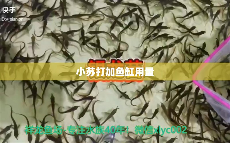 小蘇打加魚缸用量