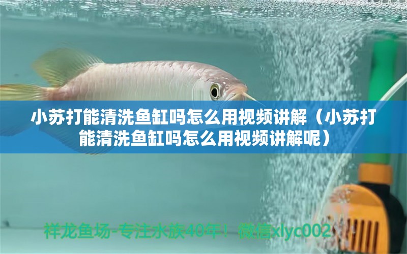 小蘇打能清洗魚缸嗎怎么用視頻講解（小蘇打能清洗魚缸嗎怎么用視頻講解呢）