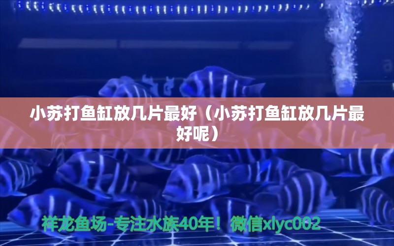 小蘇打魚缸放幾片最好（小蘇打魚缸放幾片最好呢）