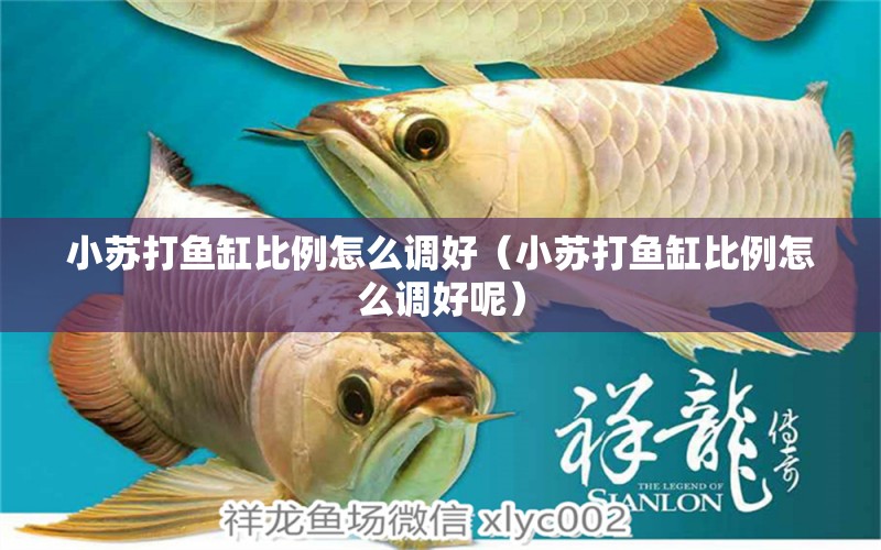 小蘇打魚缸比例怎么調(diào)好（小蘇打魚缸比例怎么調(diào)好呢）