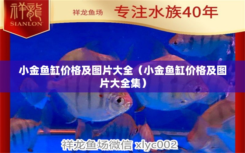 小金魚缸價格及圖片大全（小金魚缸價格及圖片大全集） 過背金龍魚