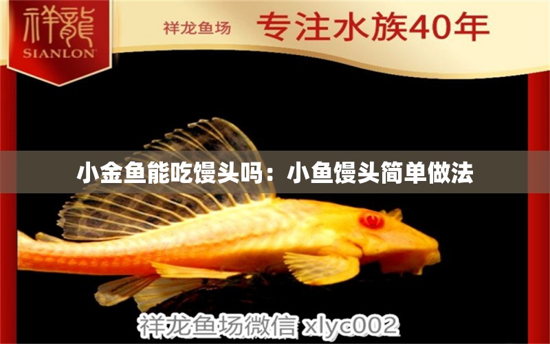 小金魚能吃饅頭嗎：小魚饅頭簡單做法