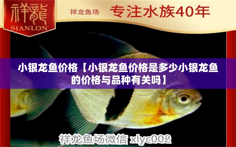 小銀龍魚價格【小銀龍魚價格是多少小銀龍魚的價格與品種有關嗎】