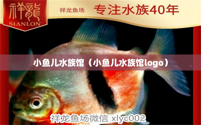 小魚兒水族館（小魚兒水族館logo）