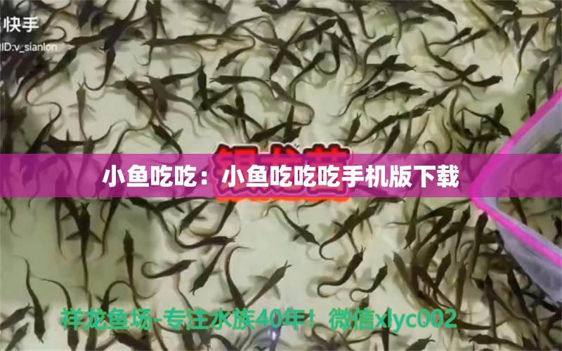 小魚吃吃：小魚吃吃吃手機(jī)版下載