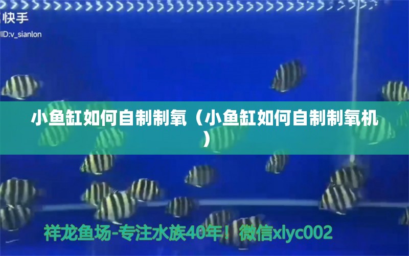 小魚缸如何自制制氧（小魚缸如何自制制氧機(jī)）