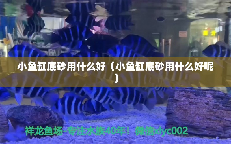 小魚缸底砂用什么好（小魚缸底砂用什么好呢） 祥龍水族醫(yī)院