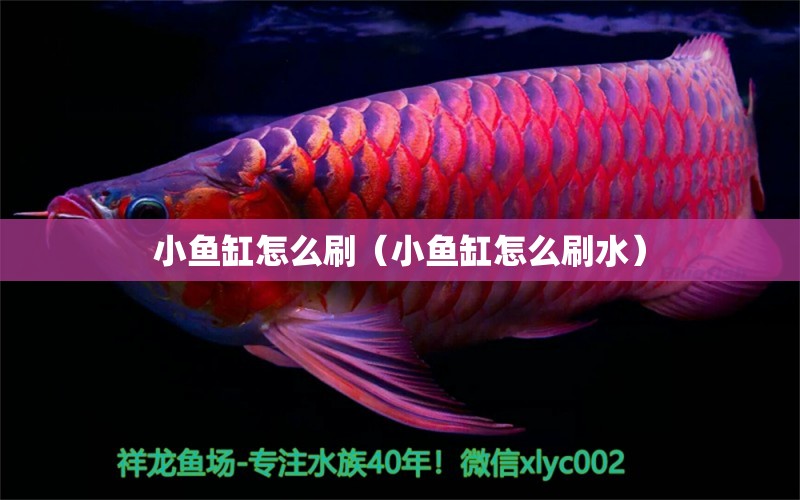 小魚缸怎么刷（小魚缸怎么刷水）