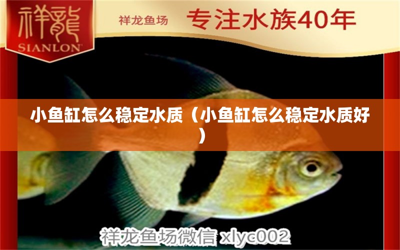 小魚缸怎么穩(wěn)定水質(zhì)（小魚缸怎么穩(wěn)定水質(zhì)好）