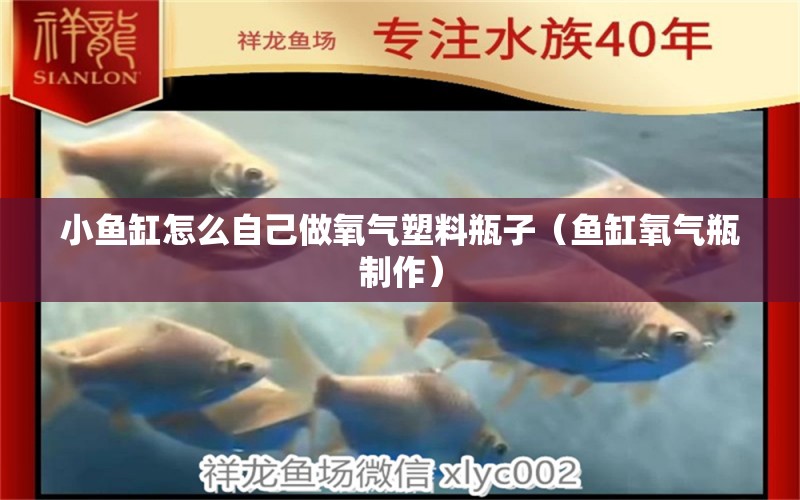 小魚缸怎么自己做氧氣塑料瓶子（魚缸氧氣瓶制作）