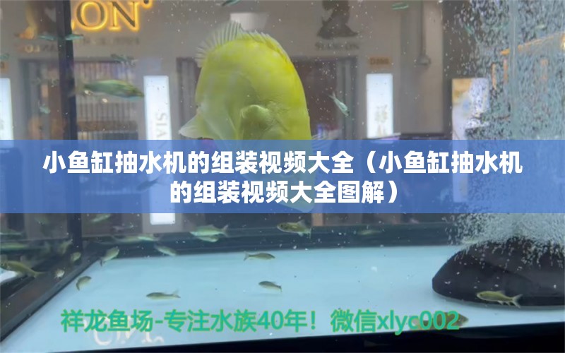 小魚缸抽水機(jī)的組裝視頻大全（小魚缸抽水機(jī)的組裝視頻大全圖解）