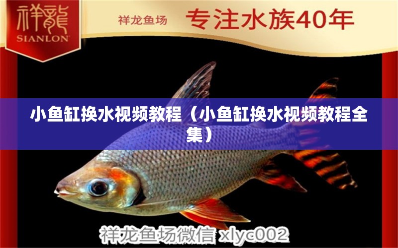 小魚缸換水視頻教程（小魚缸換水視頻教程全集）