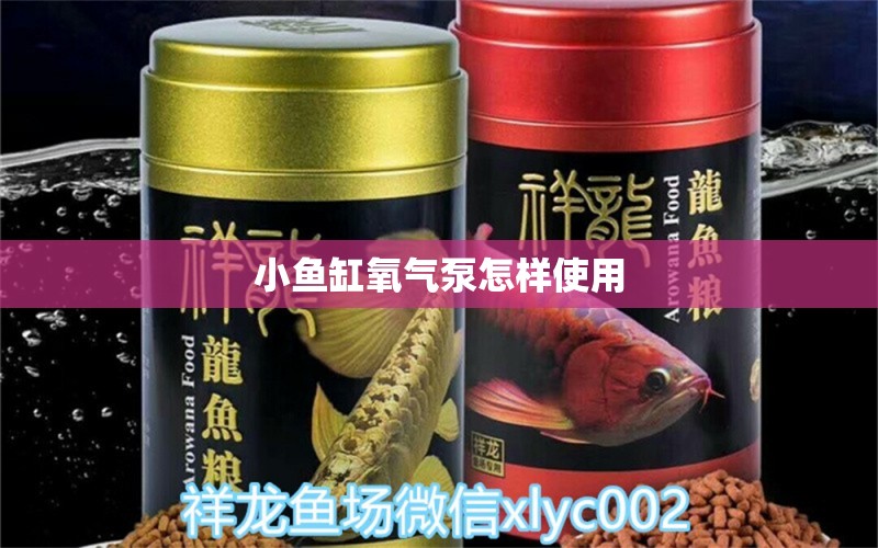 小魚(yú)缸氧氣泵怎樣使用 帝王血鉆魚(yú)