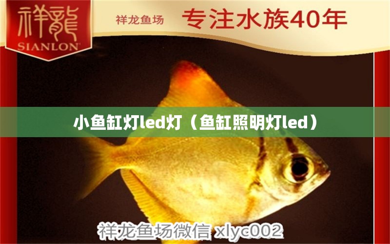 小魚缸燈led燈（魚缸照明燈led） 白化火箭