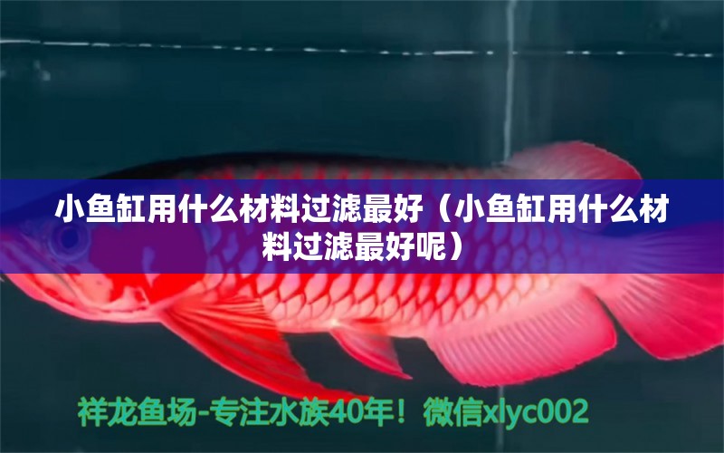 小魚缸用什么材料過濾最好（小魚缸用什么材料過濾最好呢） 一眉道人魚