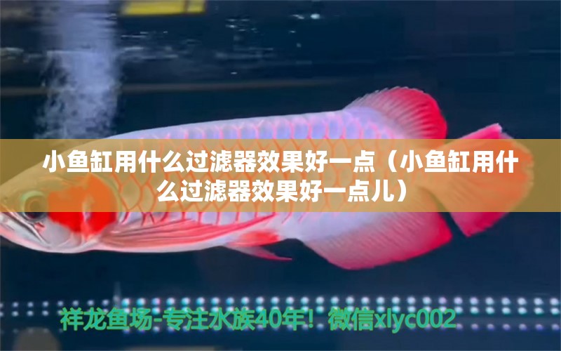 小魚缸用什么過濾器效果好一點(diǎn)（小魚缸用什么過濾器效果好一點(diǎn)兒） 白化火箭