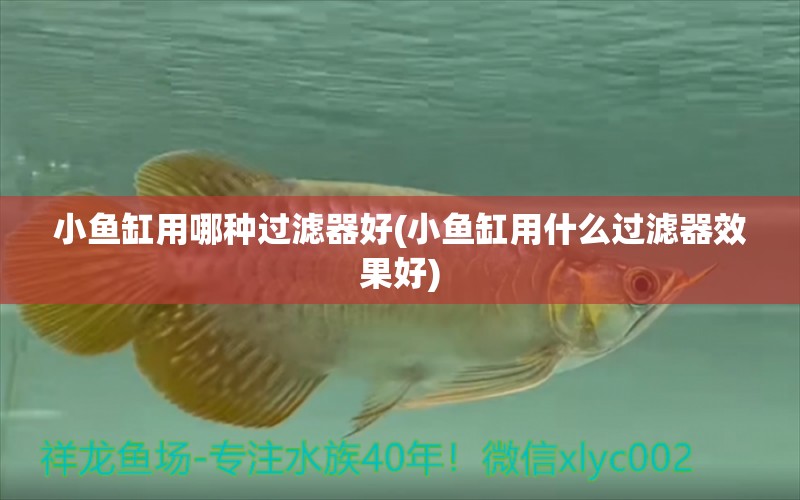 小魚缸用哪種過濾器好(小魚缸用什么過濾器效果好)