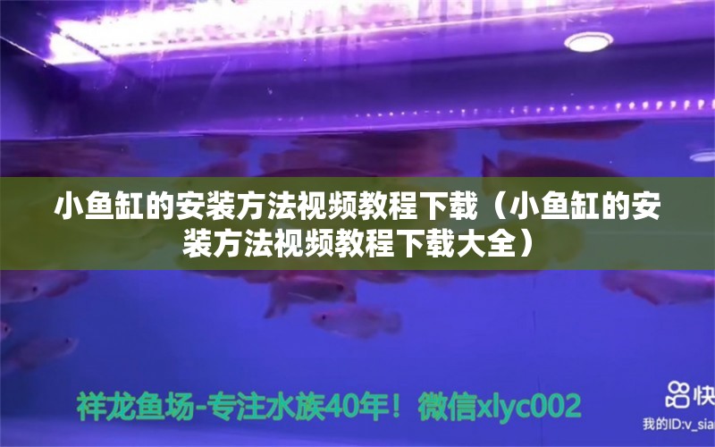 小魚缸的安裝方法視頻教程下載（小魚缸的安裝方法視頻教程下載大全）