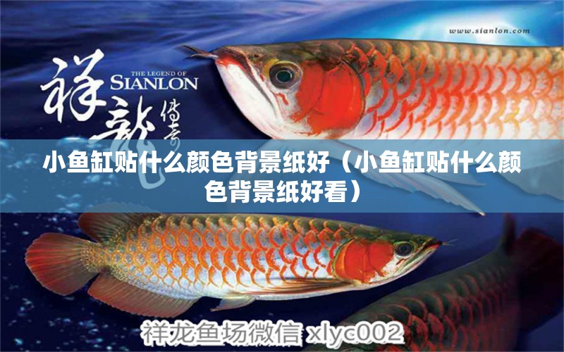 小魚(yú)缸貼什么顏色背景紙好（小魚(yú)缸貼什么顏色背景紙好看） 名貴錦鯉魚(yú)