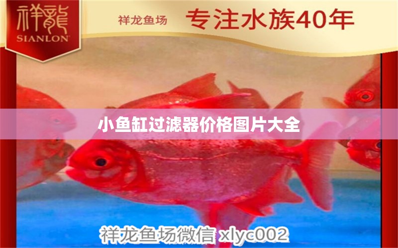 小魚缸過濾器價(jià)格圖片大全