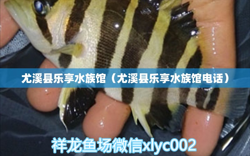 尤溪縣樂享水族館（尤溪縣樂享水族館電話）