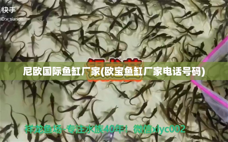 尼歐國際魚缸廠家(歐寶魚缸廠家電話號碼) 水溫計 第1張