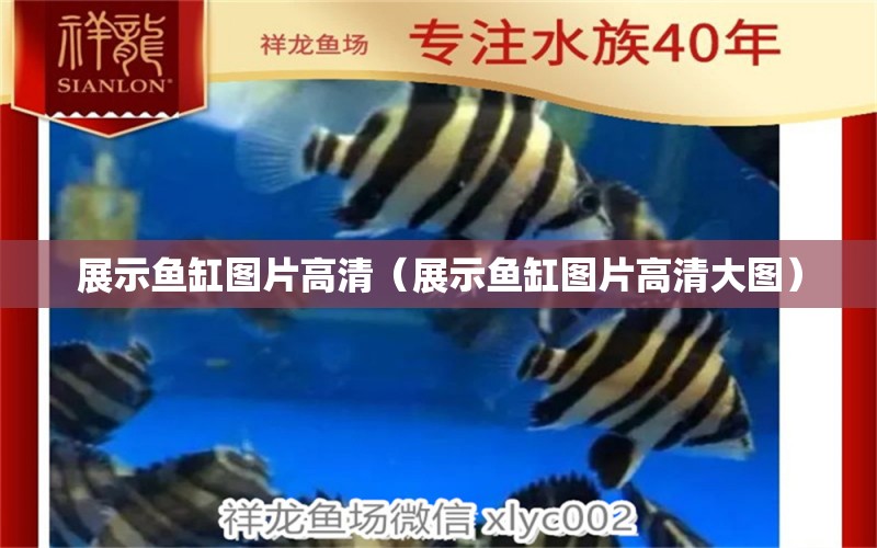 展示魚缸圖片高清（展示魚缸圖片高清大圖）