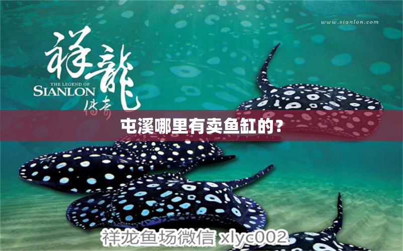 屯溪哪里有賣(mài)魚(yú)缸的？ 朱巴利魚(yú)苗