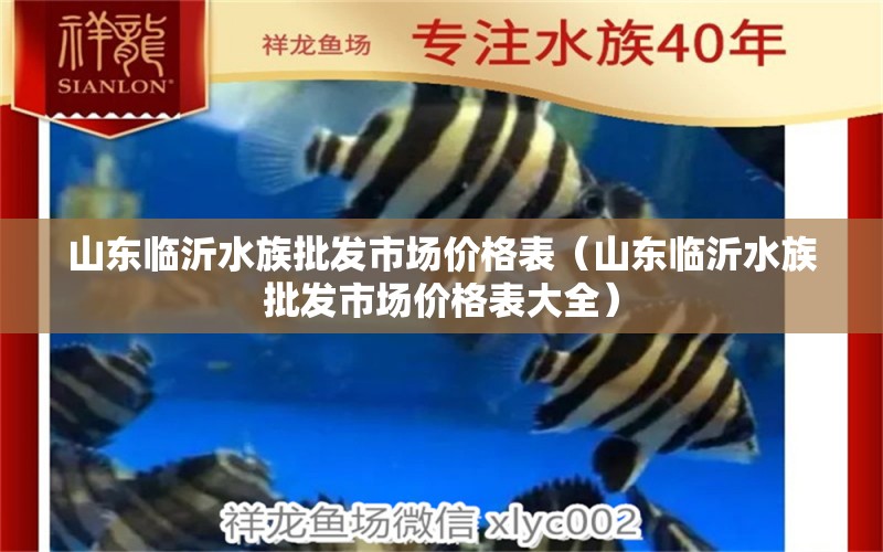 山東臨沂水族批發(fā)市場價格表（山東臨沂水族批發(fā)市場價格表大全） 觀賞魚批發(fā)