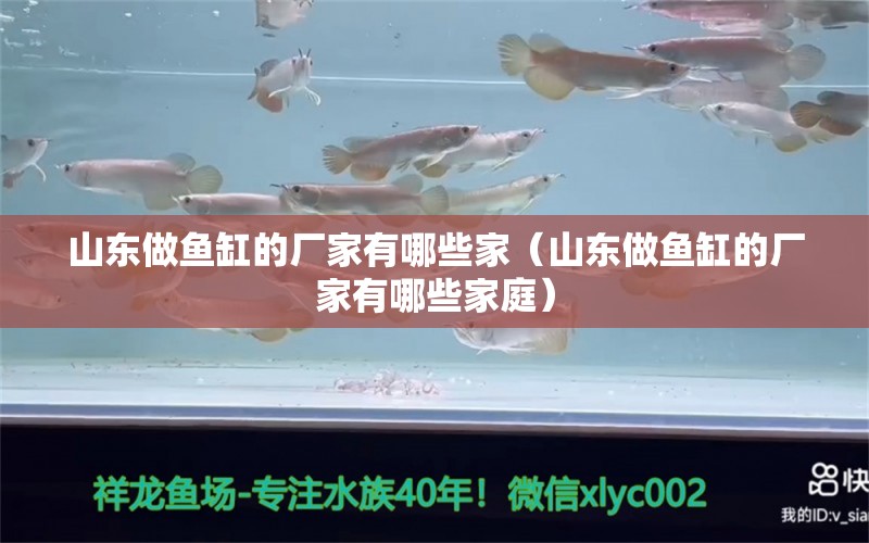 山東做魚缸的廠家有哪些家（山東做魚缸的廠家有哪些家庭）