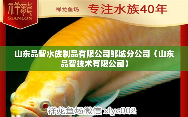 山東品智水族制品有限公司鄒城分公司（山東品智技術(shù)有限公司） 全國水族館企業(yè)名錄