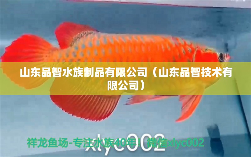 山東品智水族制品有限公司（山東品智技術有限公司） 全國水族館企業(yè)名錄