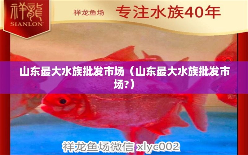 山東最大水族批發(fā)市場(chǎng)（山東最大水族批發(fā)市場(chǎng)?）