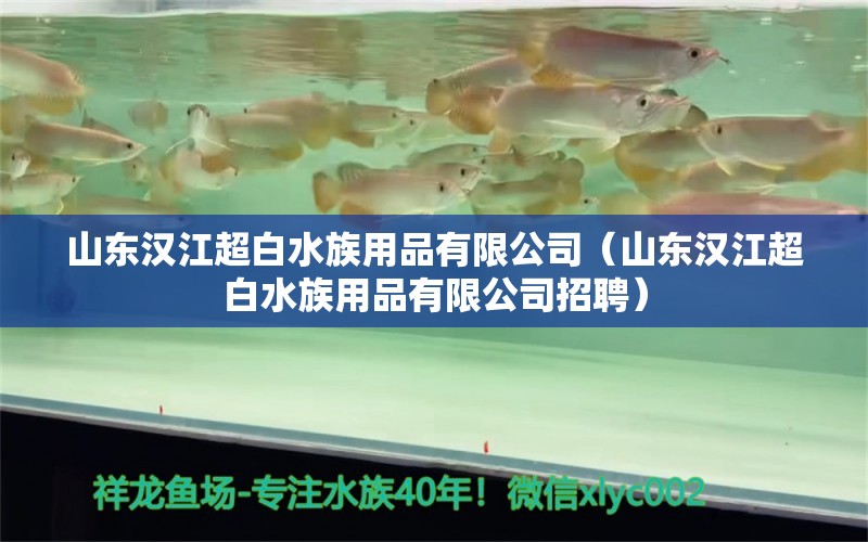 山東漢江超白水族用品有限公司（山東漢江超白水族用品有限公司招聘）