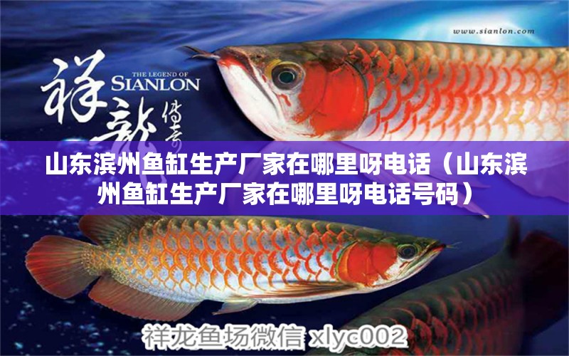 山東濱州魚缸生產(chǎn)廠家在哪里呀電話（山東濱州魚缸生產(chǎn)廠家在哪里呀電話號(hào)碼）