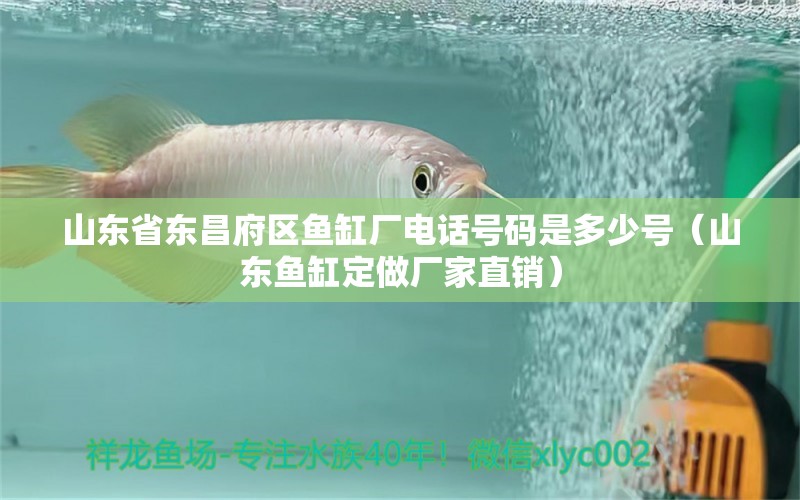 山東省東昌府區(qū)魚缸廠電話號碼是多少號（山東魚缸定做廠家直銷）