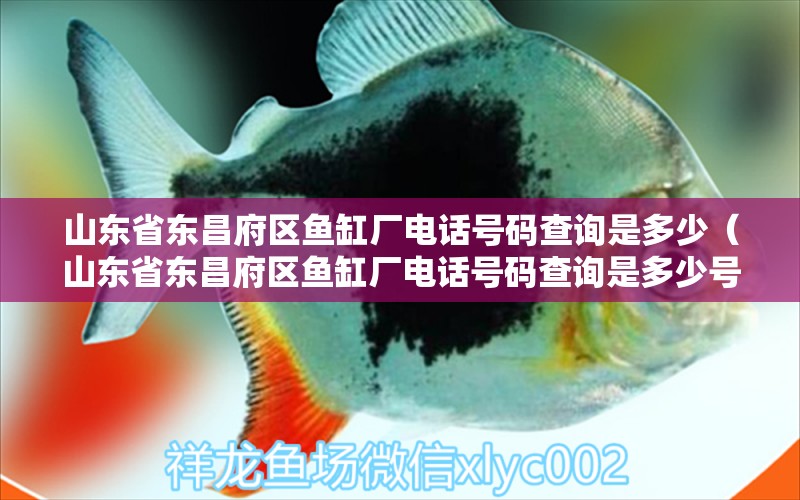 山東省東昌府區(qū)魚缸廠電話號碼查詢是多少（山東省東昌府區(qū)魚缸廠電話號碼查詢是多少號） 祥龍水族醫(yī)院