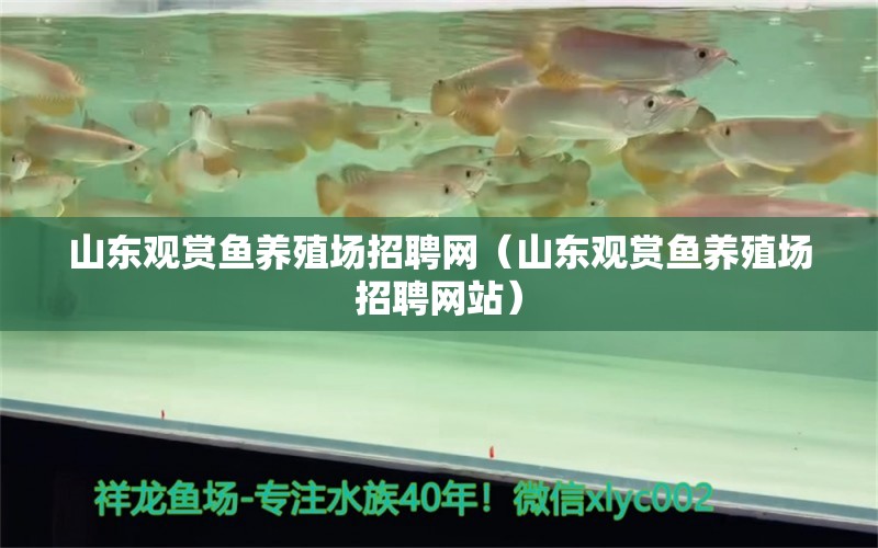 山東觀賞魚養(yǎng)殖場招聘網(wǎng)（山東觀賞魚養(yǎng)殖場招聘網(wǎng)站）